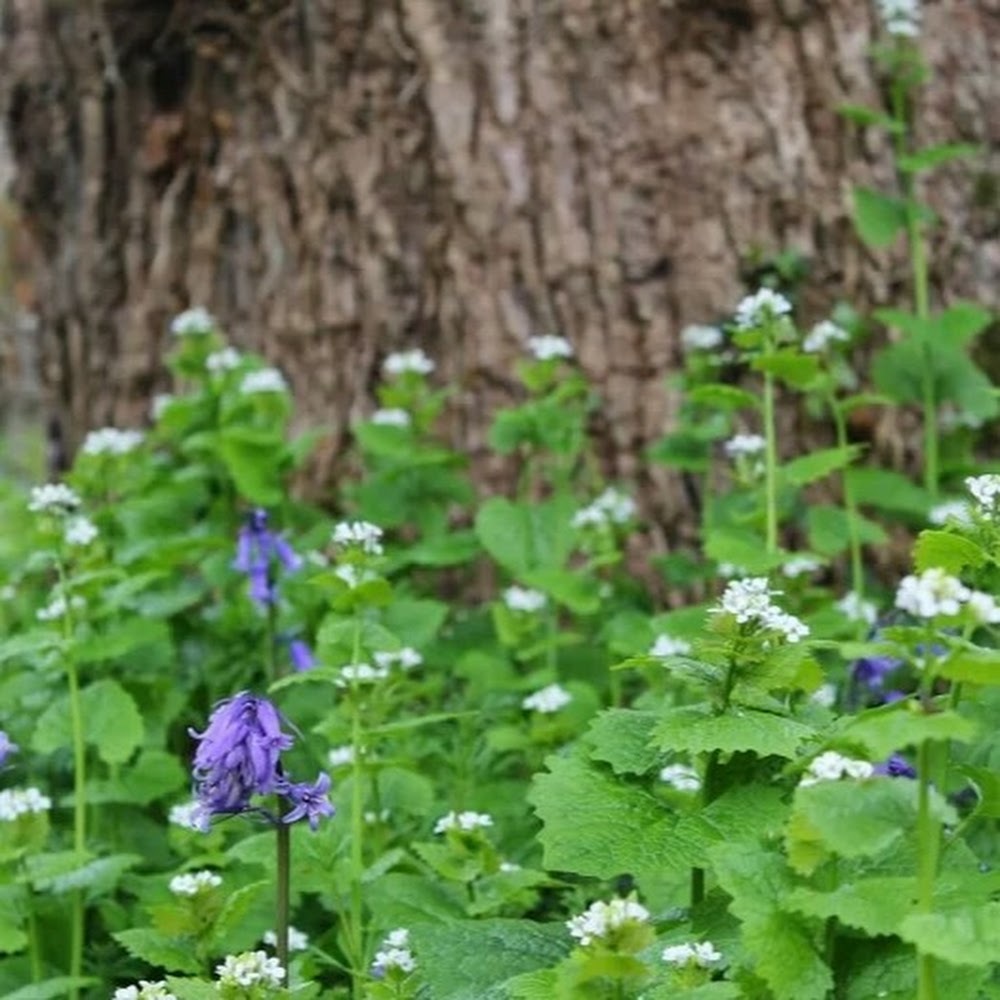 Meet your Posher, Nadeen